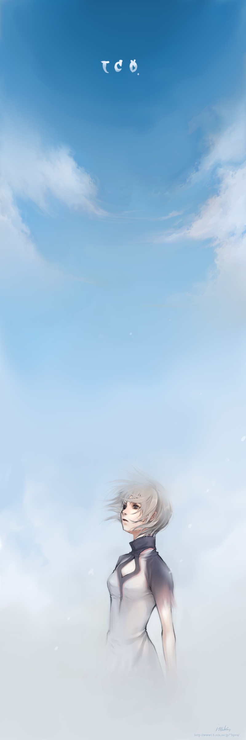 1girl, absurdres, bad_id, highres, ico, itsuki_(artist), itsuki_(lqs), long_image, sai_(medium), sky, solo, tall_image, yorda
