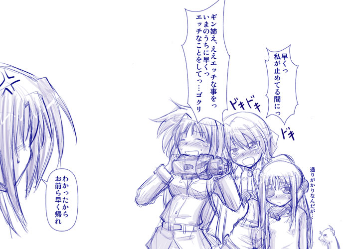 4girls, cinque_(nanoha), ferret, ginga_nakajima, lyrical_nanoha, mahou_shoujo_lyrical_nanoha, mahou_shoujo_lyrical_nanoha_strikers, mitsurugi_tsurugi