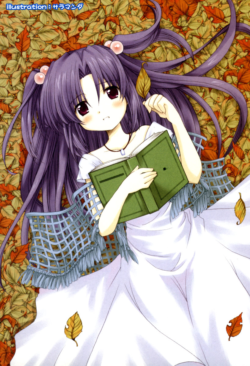1girl, book, clannad, dress, hair_bobbles, hair_ornament, highres, ichinose_kotomi