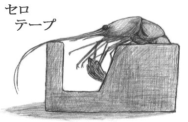 kurogami_ma, lowres, monochrome, shrimp, what