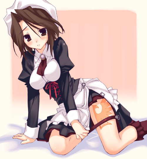 1girl, blush, brown_eyes, brown_hair, corset, dress, hat, kneeling