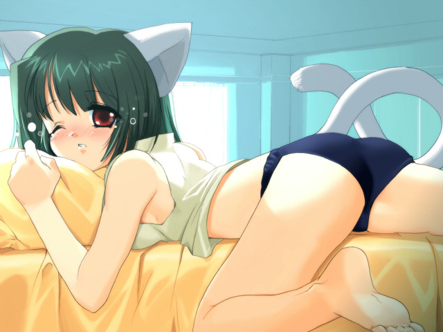 1girl, animal_ears, barefoot, bed, buruma, cat_ears, cat_tail, csy, panties, sad, solo, tail, underwear