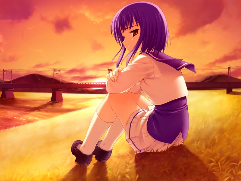 1girl, bra-ban!, bridge, game_cg, kobuichi, mikage_sumi, power_lines, purple_hair