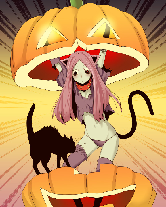 animal_ears, cat, cat_ears, cat_tail, collar, eiken_(studio), halloween, jack-o'-lantern, panties, pink_hair, pumpkin, red_eyes, sazae-san, tail, tamaoki_benkyou, thigh-highs, underwear