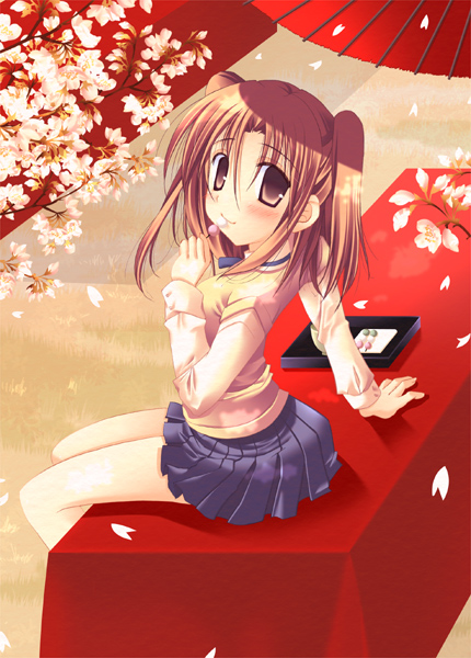 00s, 1girl, bad_anatomy, blue_skirt, brown_eyes, brown_hair, cherry_blossoms, knave