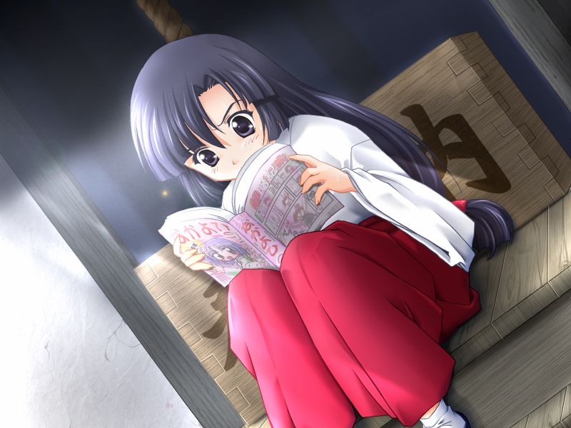 00s, 1girl, blue_eyes, blue_hair, game_cg, hakama, japanese_clothes, miko, minase_itsuki, nanao_naru, reading, red_hakama, solo, suika_(game)
