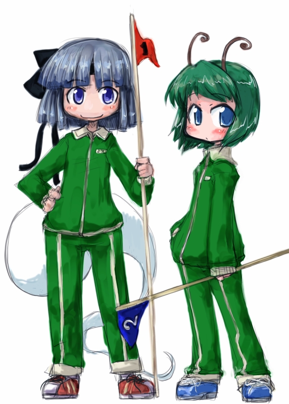 2girls, antennae, blue_eyes, bow, clothes_writing, female, flag, green_eyes