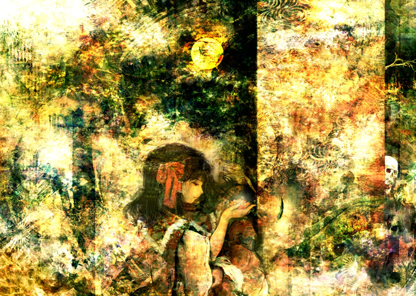 1girl, abstract, black_hair, female, from_side, hakurei_reimu, hayapi, long_sleeves
