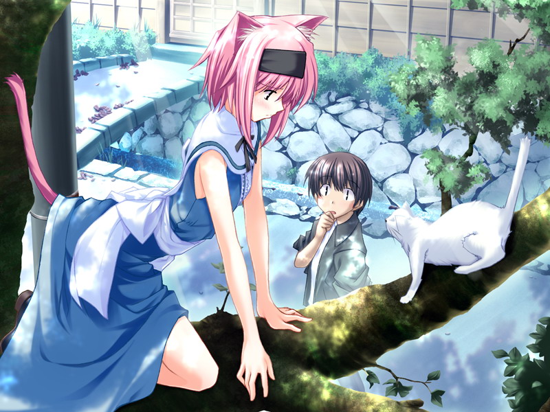 1boy, 1girl, animal_ears, blush, cat, cat_ears, cat_tail, dress, in_tree, pink_hair, ribbon, saishuu_shiken_kujira, tail, tree, yumesaki_haruka