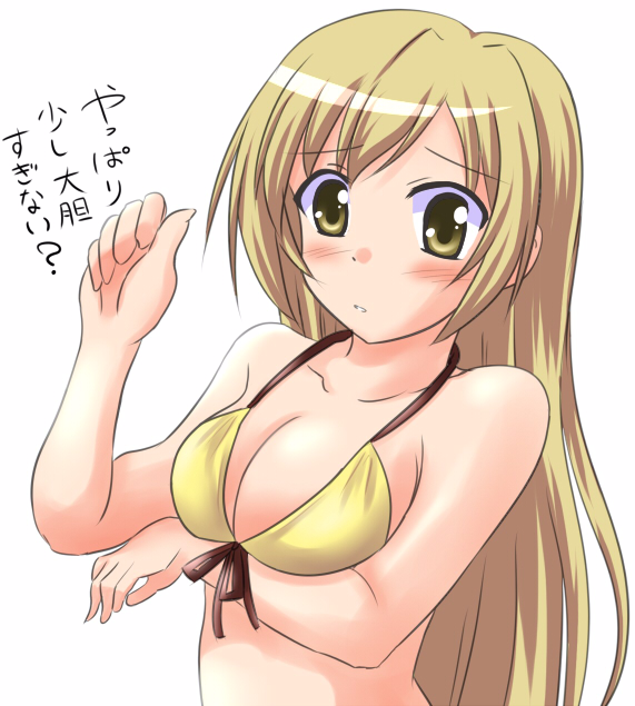 1girl, bikini, breasts, cleavage, jun_(aoerm), large_breasts, minami-ke, minami_haruka