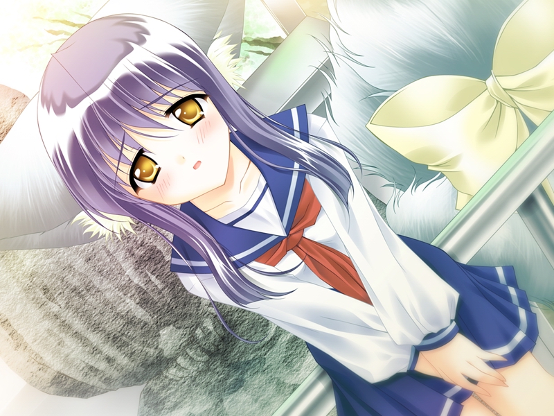 1girl, animal_ears, blue_hair, blush, bow, dutch_angle, fox_ears, koma