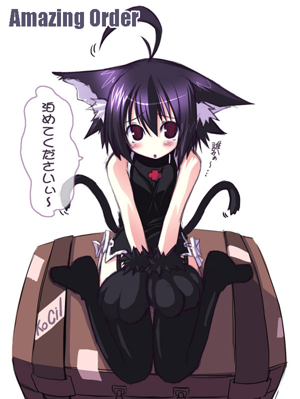 1girl, ahoge, animal_ears, black_legwear, born_freaks!, brown_eyes, cat_ears, cat_tail