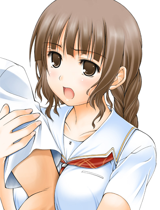 1girl, arm_hug, armcling, big_wednesday, braid, brown_eyes, brown_hair, collarbone