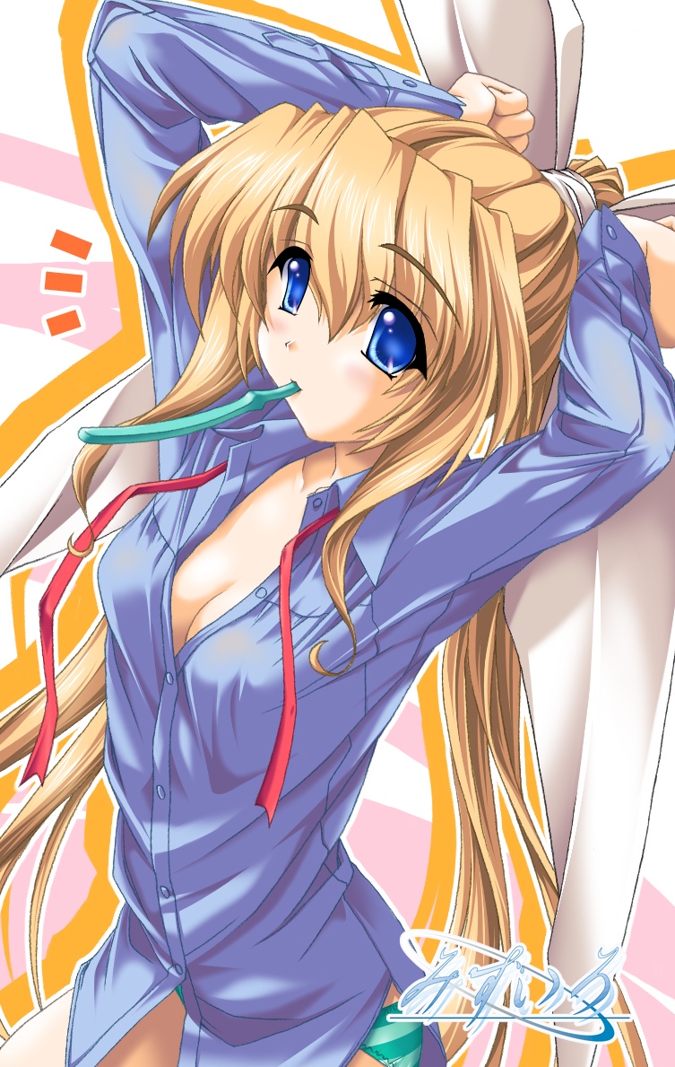 00s, 1girl, akino_takehiko, breasts, cleavage, kiyoka, mizuiro, onosaki_kiyoka
