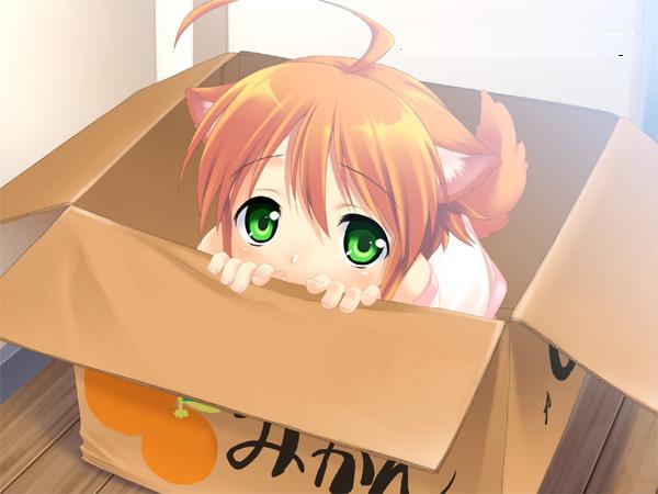 1girl, ahoge, animal_ears, box, cardboard_box, child, dog_ears, dog_tail