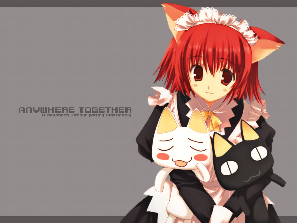 animal_ears, black_cat, cat, cat_ears, doko_demo_issho, engrish, inoue_toro, kuro_(doko_demo_issho)