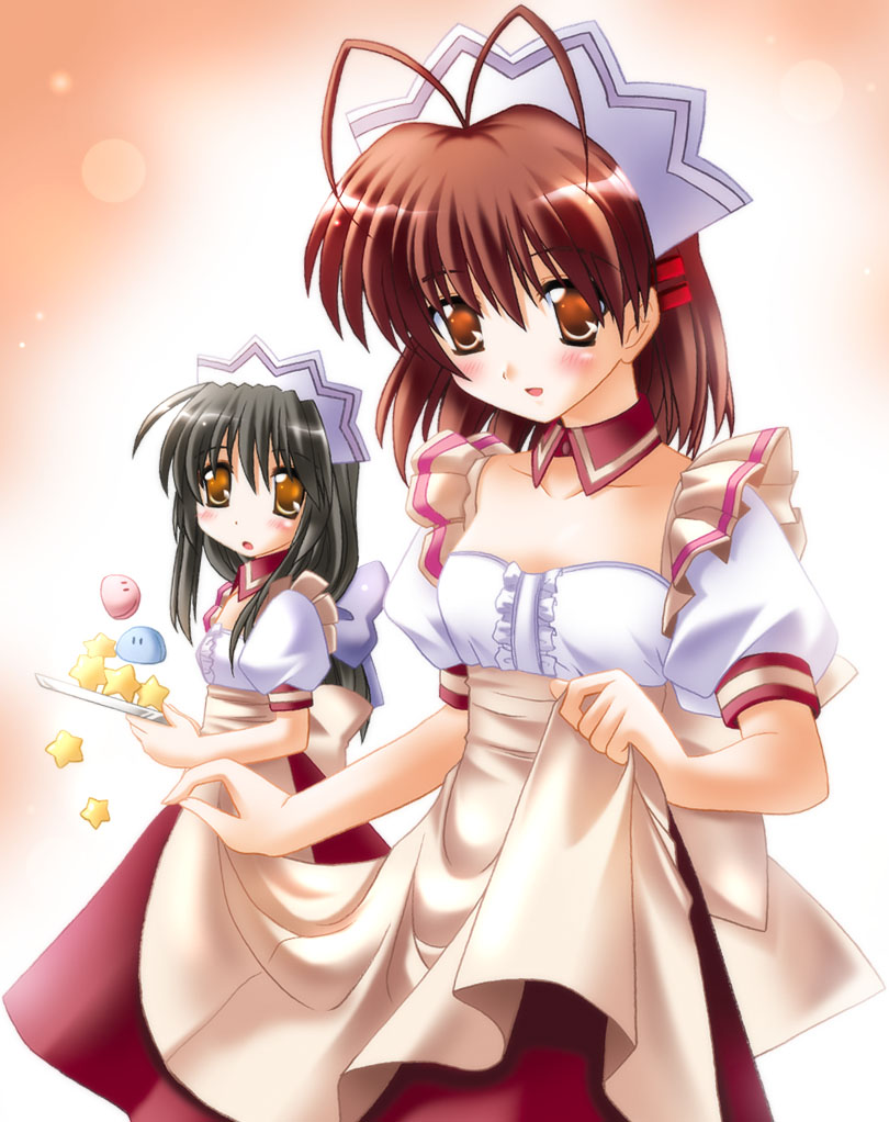 2girls, black_hair, blush, brown_eyes, brown_hair, clannad, furukawa_nagisa, ibuki_fuuko