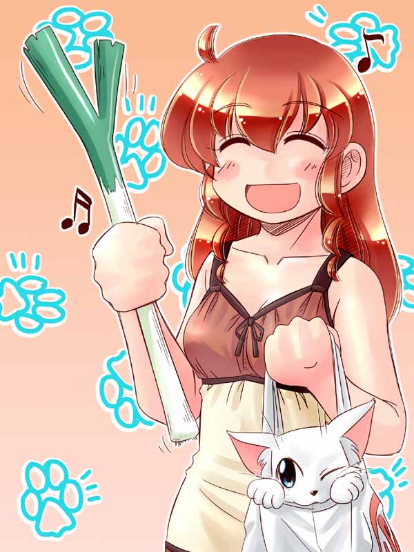 cat, loituma, original, spring_onion, zan
