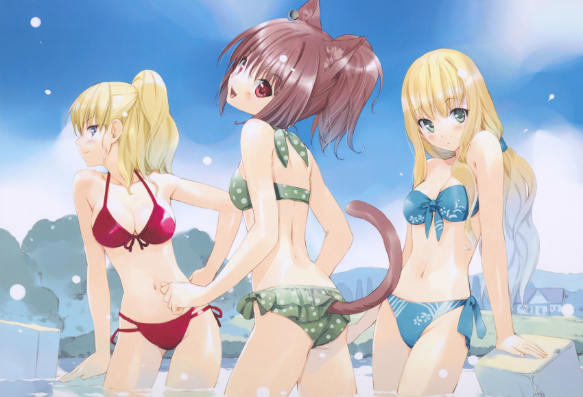 3girls, animal_ears, bikini, catgirl, cleavage, swimsuit, tail, ueda_ryo