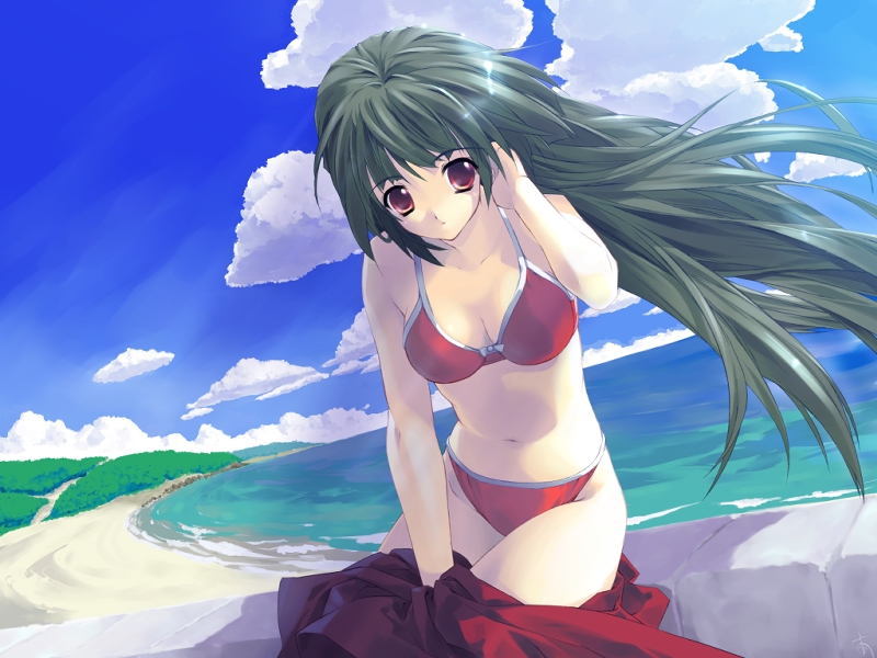 1girl, beach, bikini, f&amp;c, game_cg, green_hair, izumi_yuujirou, long_hair