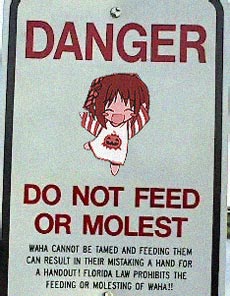 1girl, chibi, lowres, photoshop, sign, solo, suigetsu, waha