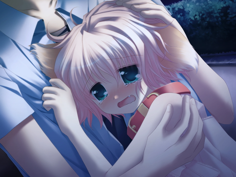 1boy, 1girl, animal_ears, blush, child, collar, dog_ears, fang, game_cg, green_eyes, hand_on_another's_head, hand_on_head, hug, night, open_mouth, outdoors, pink_hair, sad, sakurazawa_izumi, short_hair, solo_focus, tears, wanko, wanko_(wanko_to_lily), wanko_to_lily