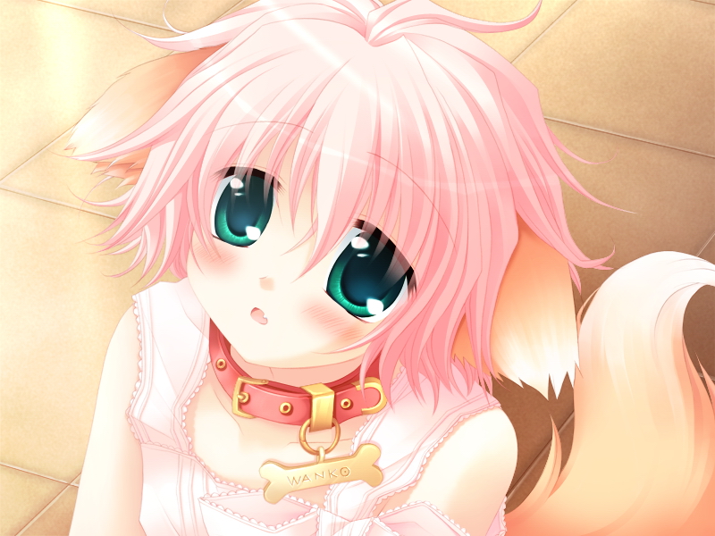 1girl, animal_ears, blush, child, close-up, collar, dog_ears, dog_tail