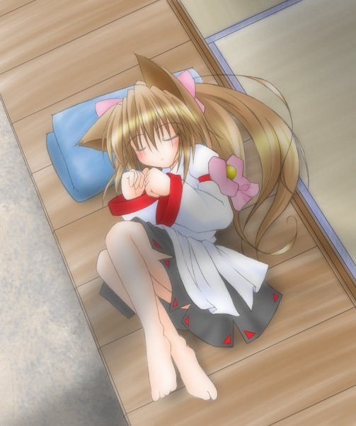 1girl, animal_ears, artist_request, blush, brown_hair, cat_ears, emily_(ukagaka), long_hair, sleeping, solo, source_request, ukagaka