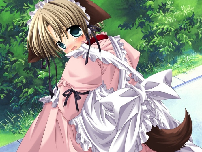1boy, animal_ears, brown_hair, dog_ears, dog_tail, forced_dressing, game_cg, kanzaki_natsuki