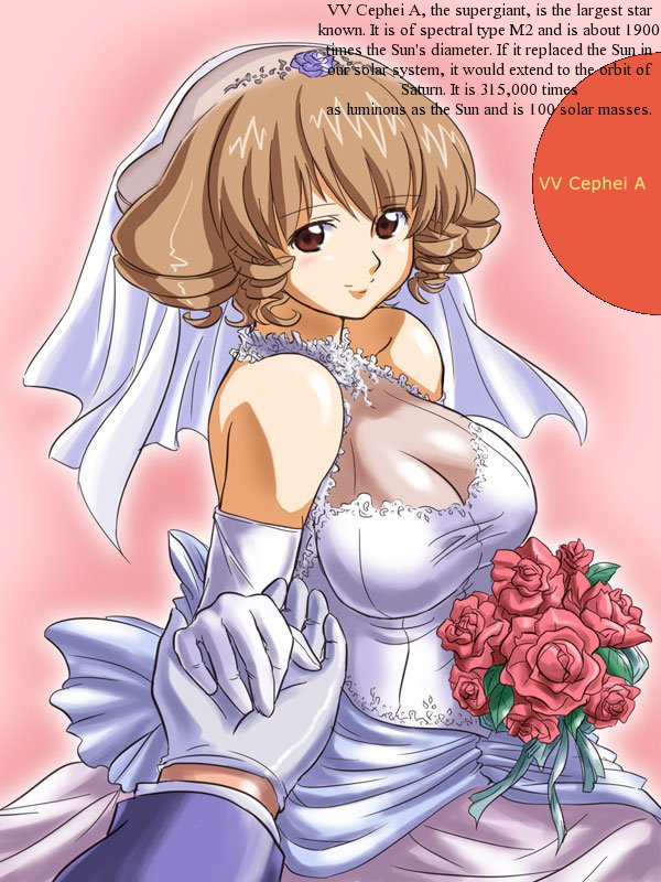 00s, astronomy, bride, dress, elbow_gloves, gloves, hina_ichigo, older, rozen_maiden, wedding_dress