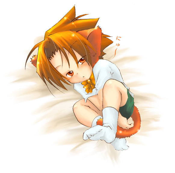 1boy, animal_ears, cat_ears, child, male_focus, orange_eyes, orange_hair, petboy