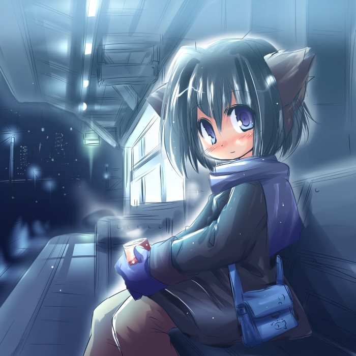 1girl, animal_ears, blue_scarf, cat_ears, kso, night, original, scarf