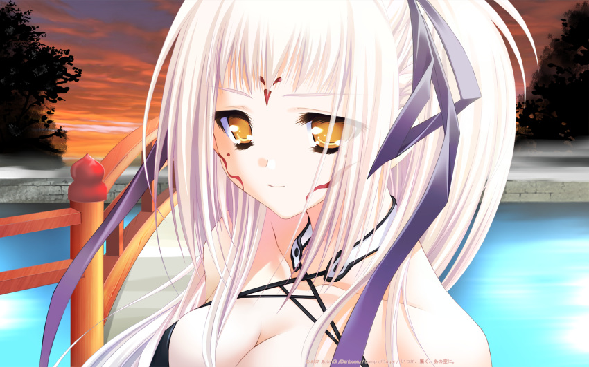 breasts, close-up, facial_mark, game_cg, hair_ribbon, highres, itsuka_todoku_ano_sora_ni, large_breasts