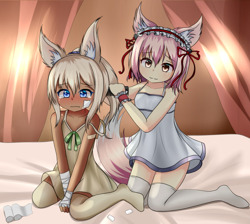 2girls, :3, animal_ears, bandaged_arm, bandaid, blue_eyes, camisole, comb