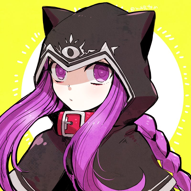 1girl, animal_hood, braid, cape, cat_hood, collar, dog_collar, fate/grand_order