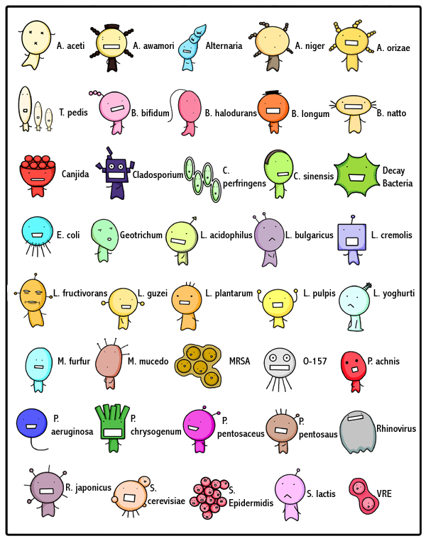 character_sheet, chart, chrysogenum, microbe, moyashimon, no_humans, o157, oryzae-tan