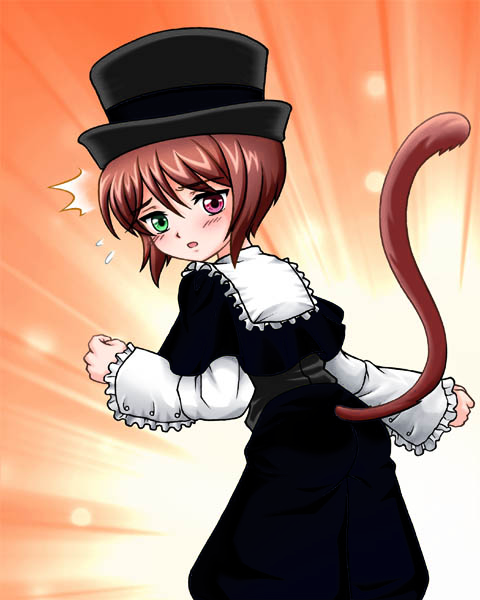 boku, boku_in_black, brown_hair, cat_tail, hat, heterochromia, neko, nekomimi