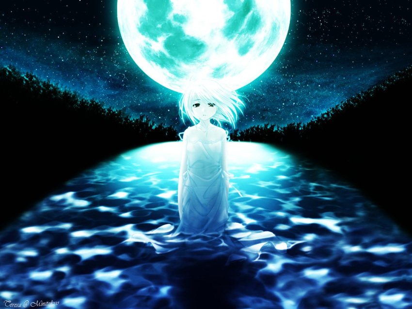1girl, artist_request, dress, forest, full_moon, in_water, looking_at_viewer, medium_hair, moon, nature, night, night_sky, rino_(white_clarity), sky, solo, standing, star_(sky), tree, water, white_clarity, white_dress, white_hair