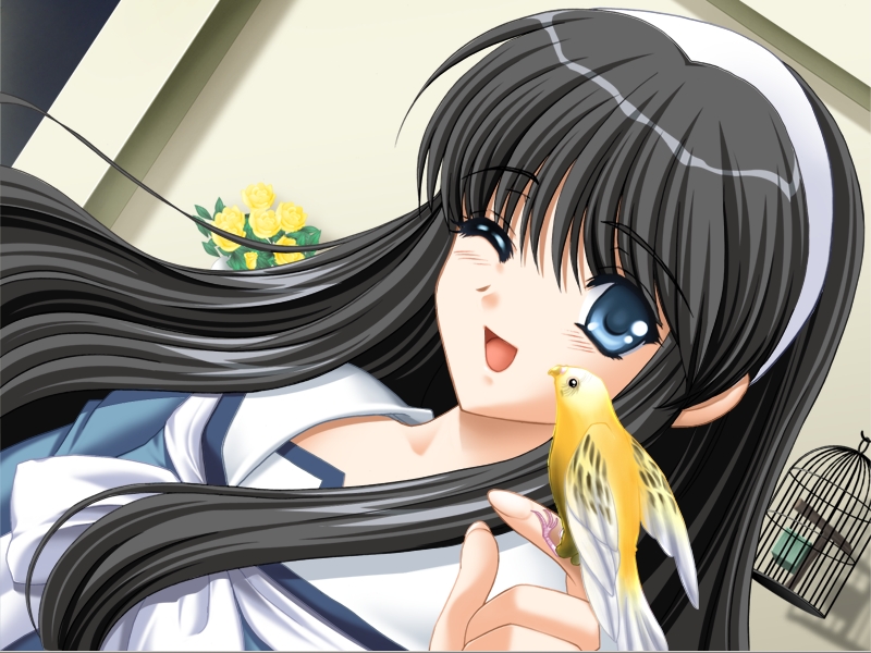 bird_on_hand, birdcage, birds, black_hair, blue_eyes, cage, dutch_angle, game_cg, hairband, kinmedai_pink, kitsune_iro_no_komoriuta, long_hair, nakazato_kyouko, wink