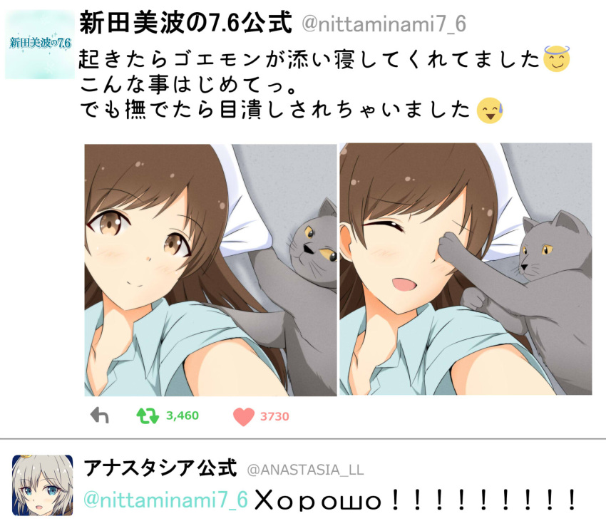 2girls, anastasia_(idolmaster), blue_eyes, brown_eyes, brown_hair, cat, closed_eyes, highres