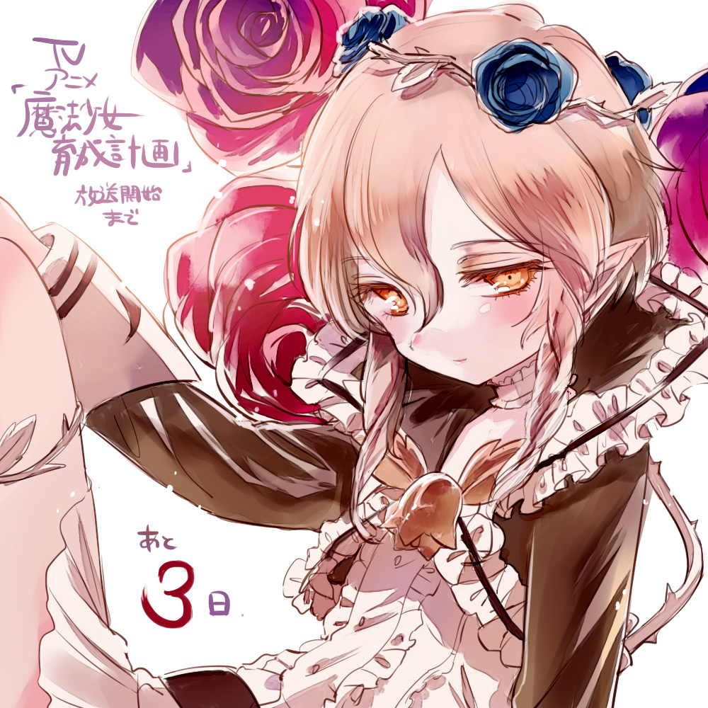 1girl, cranberry_(mahoiku), mahou_shoujo_ikusei_keikaku, maruino, official_art, solo