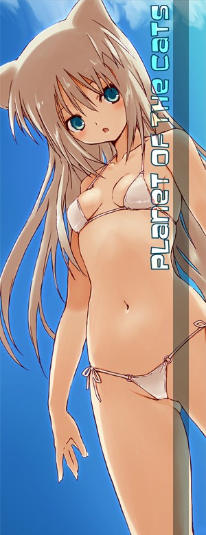 1girl, animal_ears, bikini, blue_eyes, blue_skirt, breasts, cat_ears, gluteal_fold