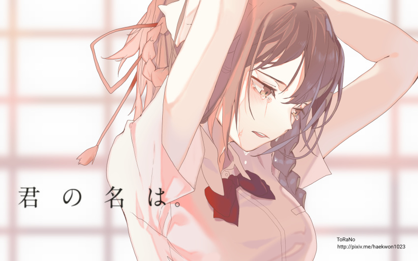 1girl, artist_name, braid, copyright_name, crying, crying_with_eyes_open, haekwon1023, highres