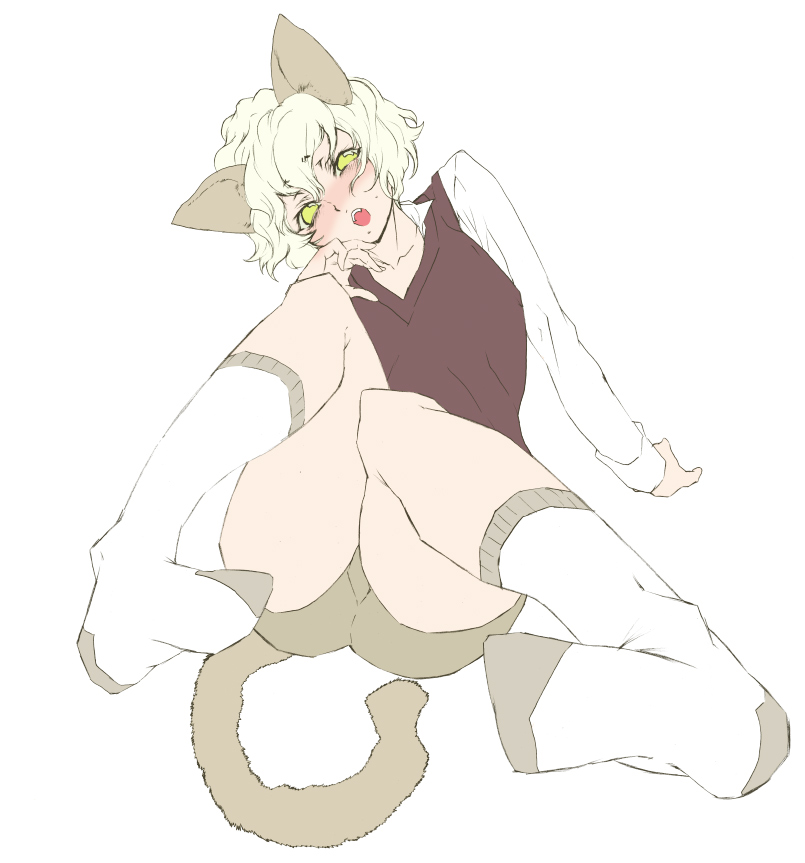 bike_shorts, blonde_hair, blush, cat_ears, hunter_x_hunter, miwa_hitomi, nefelpitou, open_mouth
