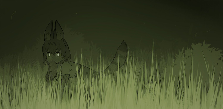 1girl, all_fours, animal, animal_ears, bare_shoulders, cat_ears, from_side, grass