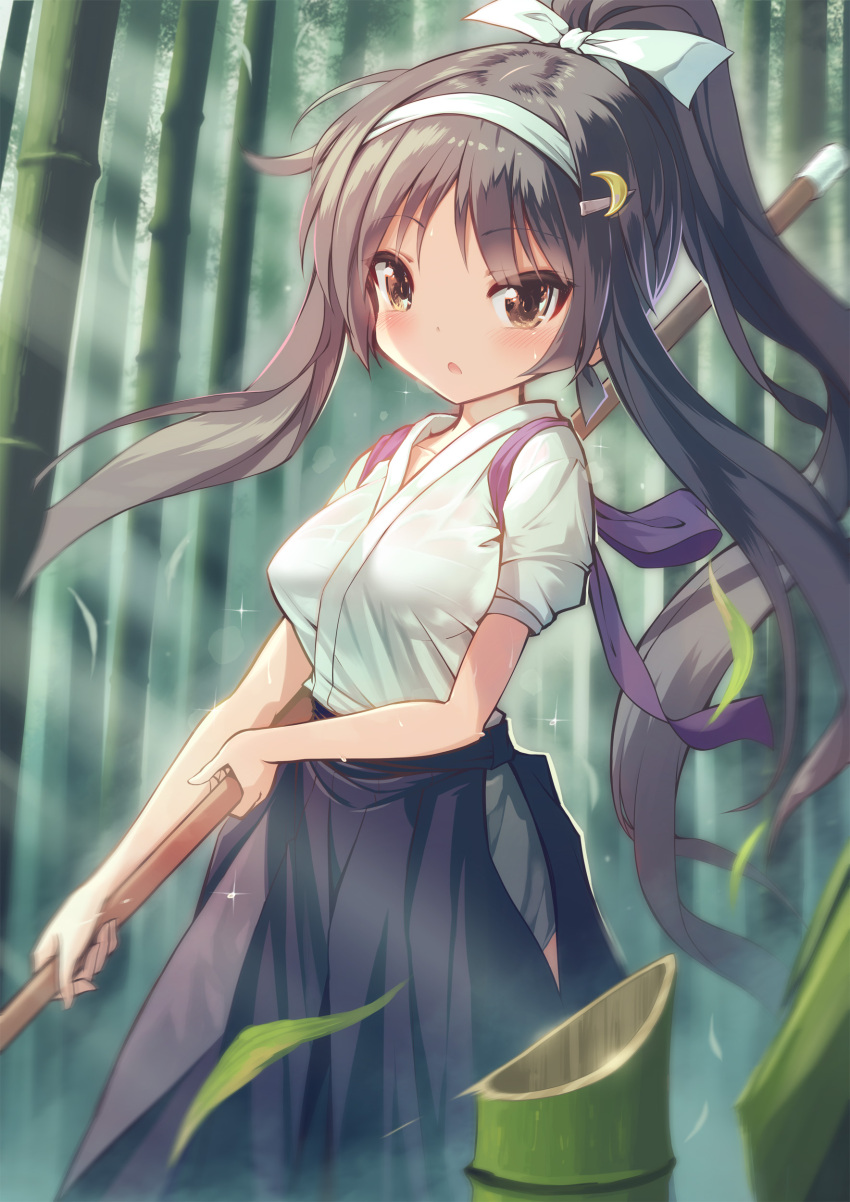 1girl, absurdres, bamboo_shoot, bangs, black_skirt, blush, breasts, brown_eyes