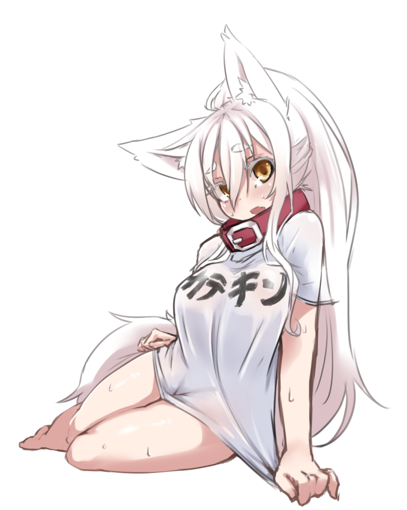 1girl, animal_ears, bangs, clothes_writing, collar, full_body, hair_between_eyes, long_hair