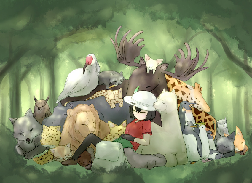 alpaca, animal, backpack, bag, bird, black_gloves, black_hair, bucket_hat