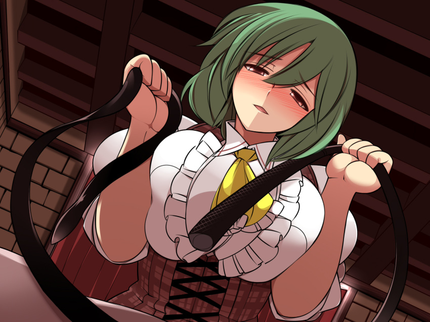 1girl, ascot, bangs, belt, blush, breasts, corset, green_hair