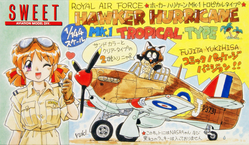 aircraft, airplane, box_art, cat, eyebrows_visible_through_hair, fujita_yukihisa, gloves, goggles